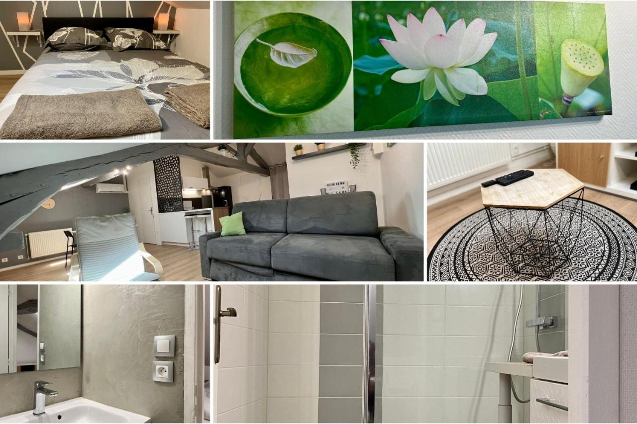 Le Mobile - Climatise - Proche De La Gare - Centre Ville-Property Rental Nm Périgueux Εξωτερικό φωτογραφία